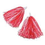 Pompoms (1 pair) Party Supplies