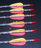 CARBON ARROWS