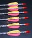 CARBON ARROWS