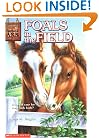 Foals in the Field (Animal Ark Series #24)