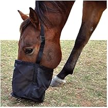 Cashel Feed Rite Bag - Size: Horse
