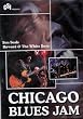 Chicago Blues Jam