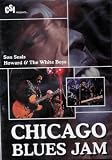 Chicago Blues Jam