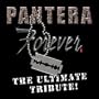 Tribute to Pantera