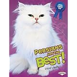 Persians Are the Best! (The Best Cats Ever)