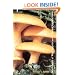 Mushrooms of West Virginia and the Central Appalachians