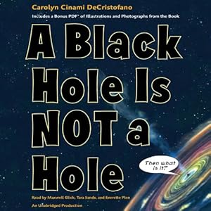 A Black Hole Is Not a Hole