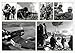 AD Skyraider Units of the Korean War (Combat Aircraft, 114)