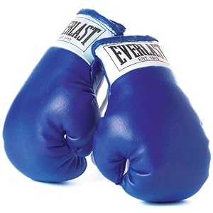 Everlast Mini Boxing Gloves