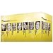 ADAC Motorwelt H�rbuch-Edition - Die Box