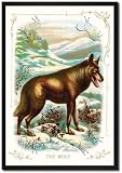 Framed Art Poster 20x30, The Wolf