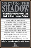 Meeting the Shadow