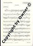 Produkt-Bild: Concerto: op. 8/2. 2 Violinen, Streicher und Cembalo (Klavier). Violoncello/Kontrabass. (Antiqua)