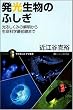 発光生物のふしぎ 光るしくみの解明から生命科学最前線まで (サイエンス・アイ新書)