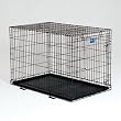 Midwest Life Stages Single-Door Folding Metal Dog Crate, 48 Inches by 30 Inches by 33 Inches