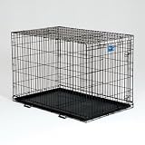 Midwest Life Stages Single-Door Folding Metal Dog Crate, 48 Inches by 30 Inches by 33 Inches