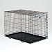 Midwest Life Stages Single-Door Folding Metal Dog Crate, 48 Inches by 30 Inches by 33 Inches