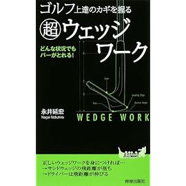 ゴルフ上達のカギを握る「超」ウェッジワーク (青春新書PLAY BOOKS)