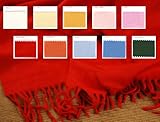 Begg of Ayr - Exquisite Scottish Pure Luxury Cashmere Scarf - Light Colors