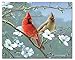 CounterArt Beautiful Songbirds Cardinal 3mm Tempered Glass Cutting Board 15” x 12” Manufactured in the USA Serving Board Charcuterie Board
