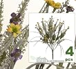 FOUR 19" Artificial Wild Flower Bushes with Grass