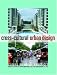 cover of Cross-cultural Urban Design: Global or Local Practice?