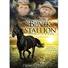 The Adventures of the Black Stallion : The Complete Third Season
