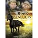 The Adventures of the Black Stallion : The Complete Third Season