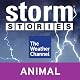 Storm Stories: Hallem, NE Tornado