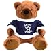 SC Sports Dallas Cowboys 20 Inch Plush Bear