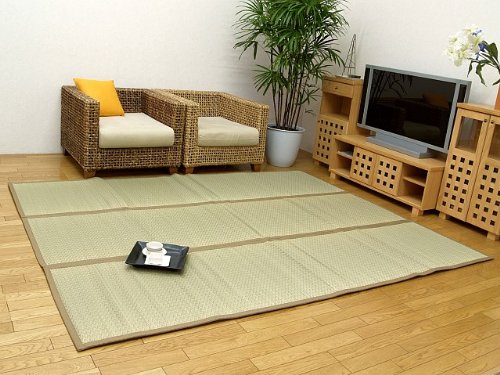 中身い草のラグカーペット 『極座』　サイズ：200x250cm (#8406930) 【送料無料】 