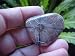 E1316 Gemqz Chiastolite ALL Polished Immortality China !!!