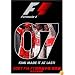 2007 FIA F1�������긢������ �������ܸ���