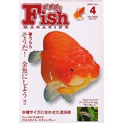 Fish MAGAZINE (�t�B�b�V�� �}�K�W��) 2007�N 04���� [�G��]