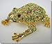 Green Frog Jeweled Trinket Box J1F19