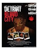 Detroit Blood City: Beaver Lake Zombies 2