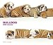 Bulldog (The DOG Artlist Collection) 2009 Calendar