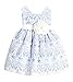 Sweet Kids Baby Girls' Sweet Vintage Elegance Lace Flower Girl Easter Dress