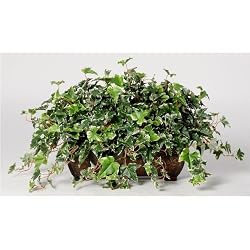 Artificial Variegated English Ivy Ledge Plant