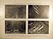 1916 Aerial Warfare Photo Moselle Ww1 War French Print