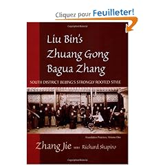 Liu Bin's Zhuong Gong Bagua Zhang: South District Beijing's Strongly Rooted Style Foundation Practices
