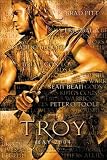 Troy - Advance Movie Poster (布萊德彼特)
