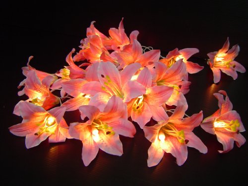 Pink Lily 20 Flowers Fairy Light String 110v 9 Feet Long
