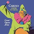 Amor ti vieta: Great Opera Arias