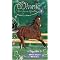 Horse Books