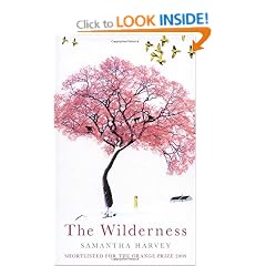 The Wilderness