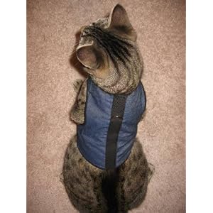 Harnesses and Leads