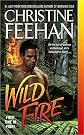 Wild Fire   [WILD FIRE] [Mass Market Paperback]