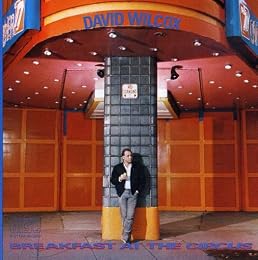 David Wilcox Picture 4