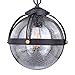 10 in. Outdoor Pendant in New Bronze